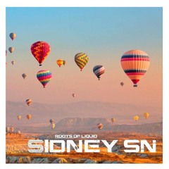 Roots of Liquid (Sidney SN Liquid DNB Mix)