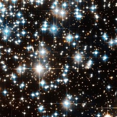 Stars