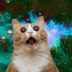 when the cat finds acid in the fridge mix