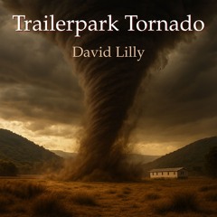Trailerpark Tornado