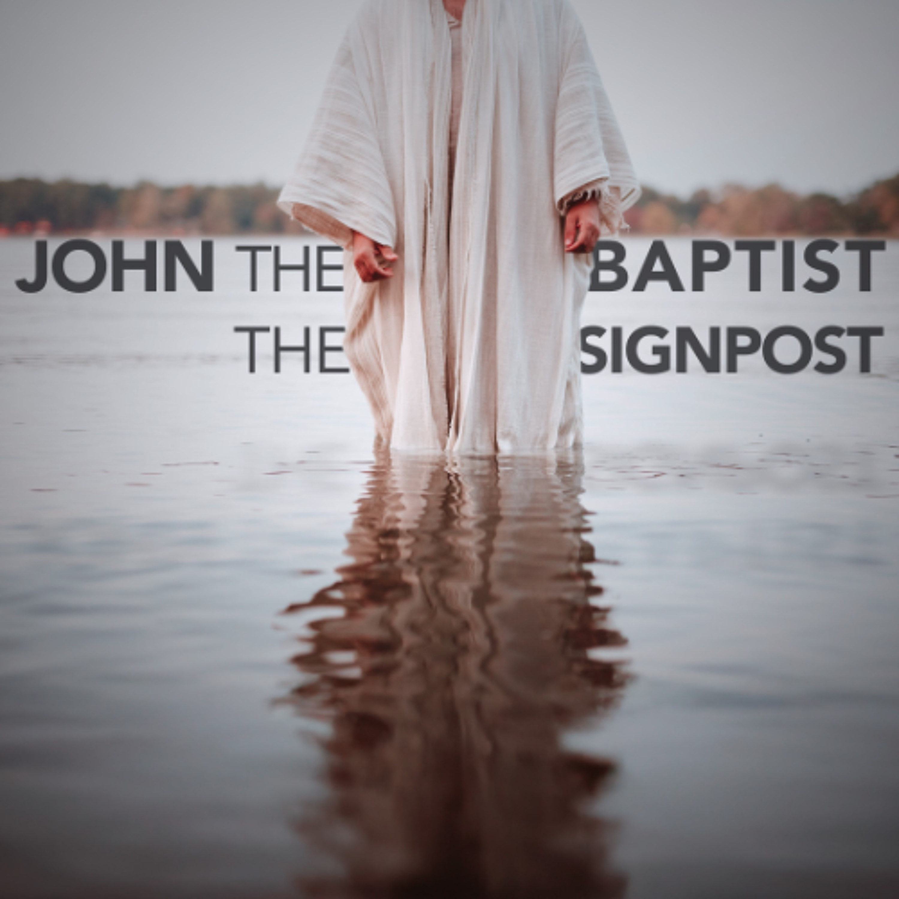 Kevin Aldridge | John the Baptist – the signpost | 29th June 2025 episode artwork