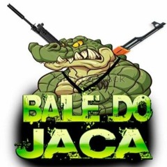 Mc Copinho - Medley Dos Faixa Preta Do Jacaré 2024  ( Dj  Mibi & Dj Lula )