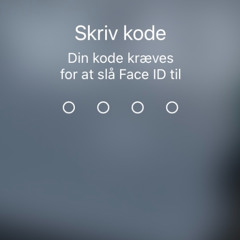 halvanden meters bando demo