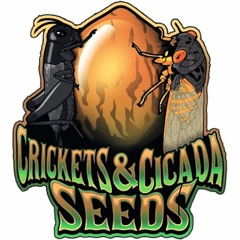 Episode 57 ft Mr Bob Hemphill of Crickets and Cicada Seeds