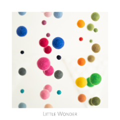 Little Wonder