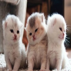 kanexo - febreeze (prod. ynfl)