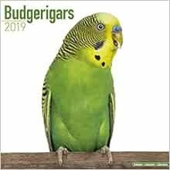 [Read] PDF EBOOK EPUB KINDLE Budgerigars Calendar - Parakeet Calendars -2018 Wall calendars - Calend