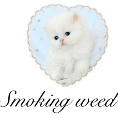 bbbellikitty bb<3