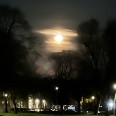 k̸e̸z̸z̸o̸ | 𝐇𝐀𝐑𝐃 𝐈𝐍𝐃𝐔𝐒𝐓𝐑𝐈𝐀𝐋 𝐓𝐄𝐂𝐇𝐍𝐎 | 𝐌𝐈𝐗 | 👹 |