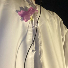 OS FAV’s  exclusive