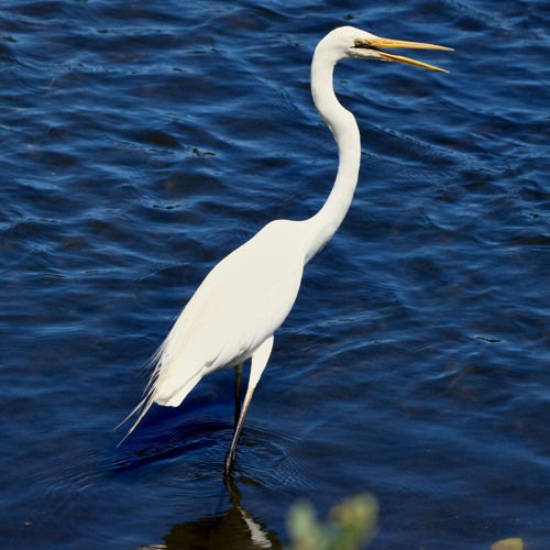 LEVISDESOLATE - DEMON WITH A HALO (PROD. @NICKMIRA)