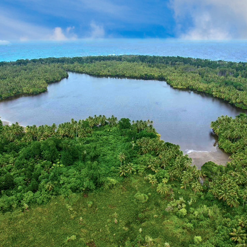 Hideout boys (Welcome).Liiwhy