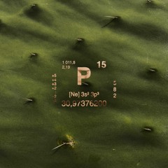 PHP - Echinopsis (FREE DL)