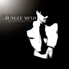 TECHNO DOMINATION BY JUNGLE MIND (BERLIN THE PLACE TO BE)