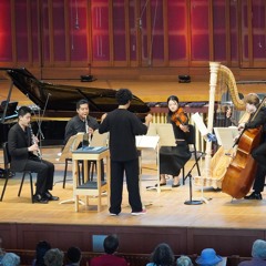 Objet Trouvé submerged, chamber miniatures - Caio de Azevedo (2025)