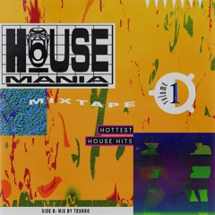 Early 90s house mix || progressive deep acid house [House Mania vol. 1 side B by Teskko]