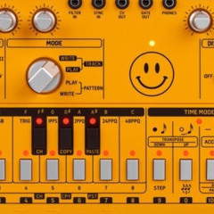 hey (acid 303 mix)