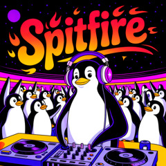 Skrillex, Hawaii Slim - SPITFIRE (TUNDERO Remix)