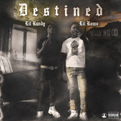 Destined Ft Romo