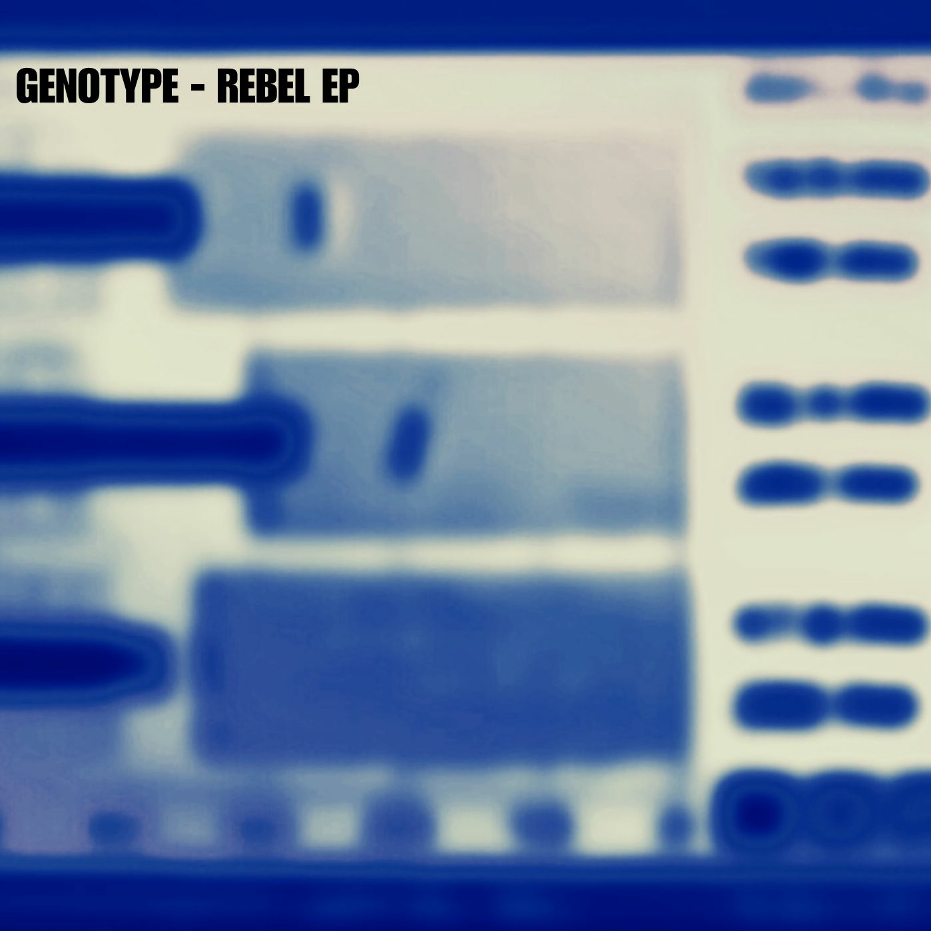 Genotype - Rebel EP - Deeper Sessions (DS) episode artwork