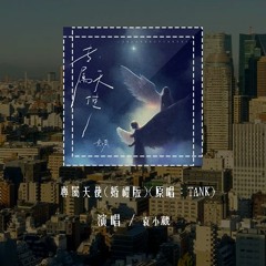 袁小葳 - 专属天使(婚礼版)(原唱：TANK)「没有谁能把你抢离我身旁，你是我的专属天使 唯我能独佔」(4k Video)【動態歌詞/pīn yīn gē cí】#袁小葳 #专属天使 #TANK