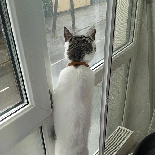 Loneliness -  HARDSTYLE REMIX.mp3