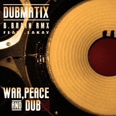 Dubmatix - War Peace Dub (B.Brain RMX)