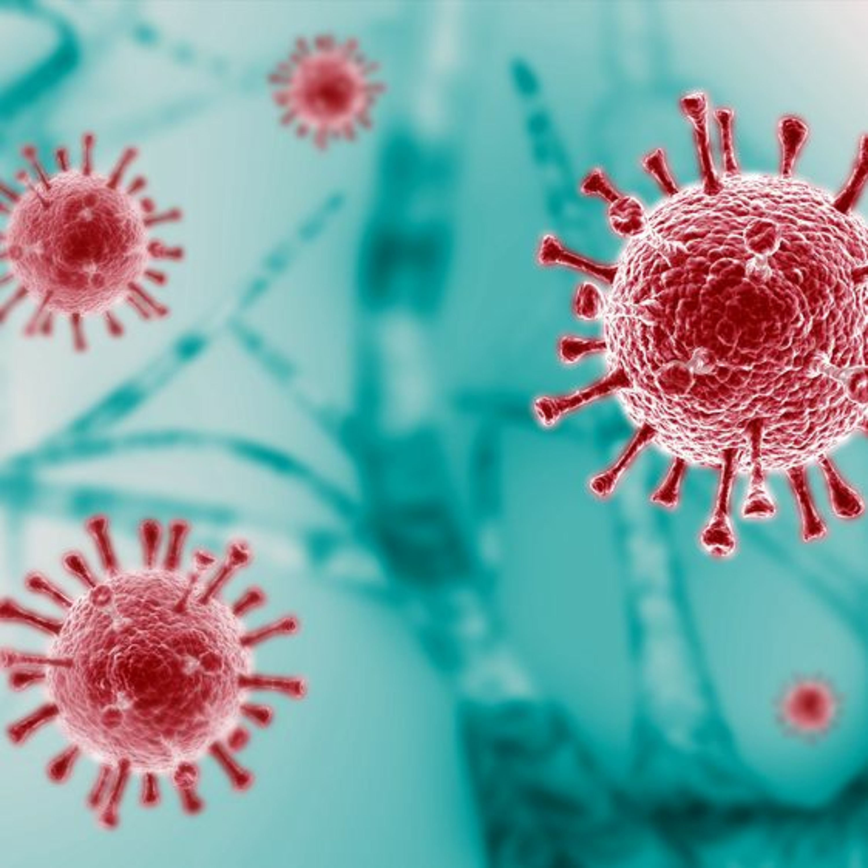 Primary adrenal insufficiency, long-term steroid use and COVID-19 infection