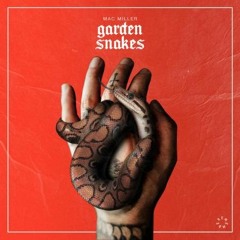 ♡Garden Snakes