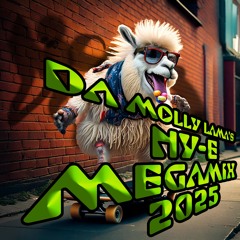 DA MOLLY LAMA'S NY-EXXXTASY MEGAMIX 2025