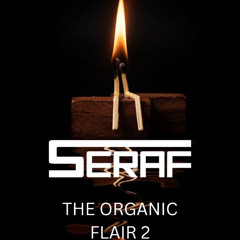 DJ SERAF - The organic Flair 2