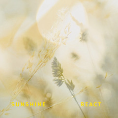 Sunshine