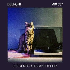 Deeport MIX037 - Guest Mix By Aleksandra Hrib