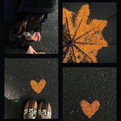 VietMix-Gõv2- Cẩm Tú Cầu