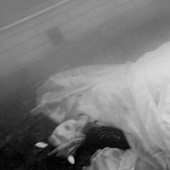 Everything Falls Apart