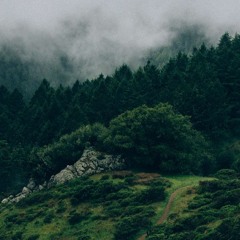 Francisco Perez | Tropical Nature | Enero 2021