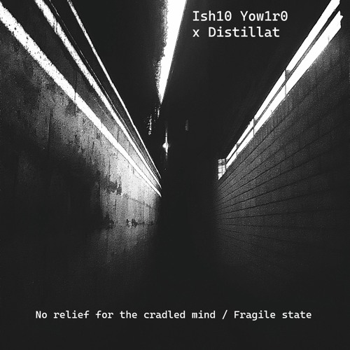 Ish10 Yow1r0 & Distillat - Fragile State