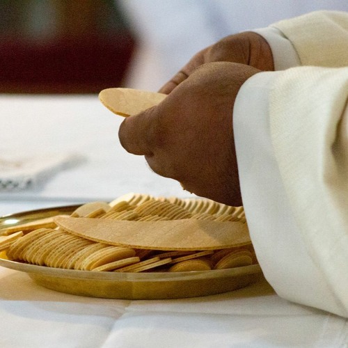 Stream Homily for the 3rd Sunday of Easter, April 14, 2024 by Father