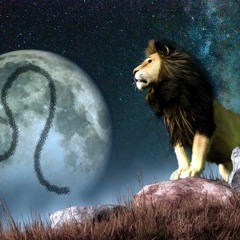 King Of The Jungle