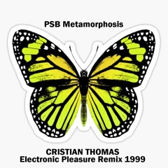 PET SHOP BOYS - METAMORPHOSIS (CRISTIAN THOMAS ELECTRONIC PLEASURE MIX 1999)