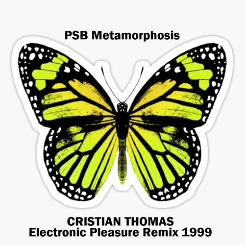 PET SHOP BOYS - METAMORPHOSIS (CRISTIAN THOMAS ELECTRONIC PLEASURE MIX 1999)