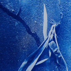 Festina Lente #7 w/ Chantage Goyave invites Edvard Huss - 16.12.25