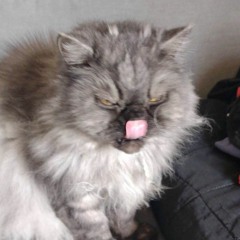 Ⓜ️🅰️❎🔸💖🔸〽️🅰️🤸K🔸 L🅾️W🧲