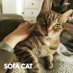 Sofa Cat