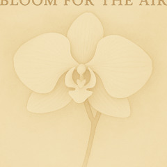 Bloom for the air (variations)