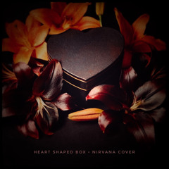 Heart Shaped Box - Nirvana Cover