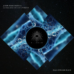 La Balada De Los Zorros (Original Mix)