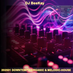 202501 DOWNTEMPO-ORGANIC & MELODIC-HOUSE
