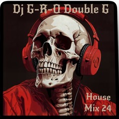House Mix 24