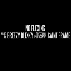 Breezy Blixky - No Flexing